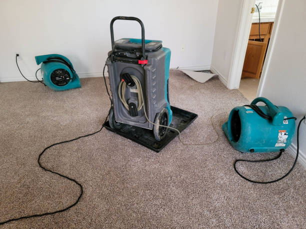 Best 24/7 water damage repair  in Okawvle, IL