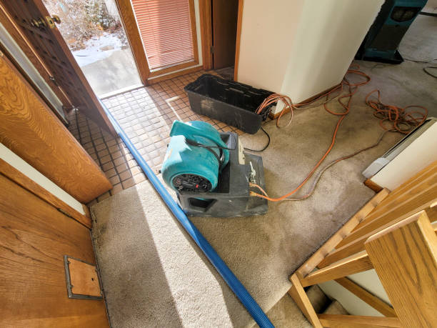 Best Professional water damage repair  in Okawvle, IL