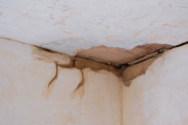 Best Residential water damage restoration  in Okawvle, IL