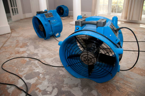 Best Fire Damage Restoration  in Okawvle, IL