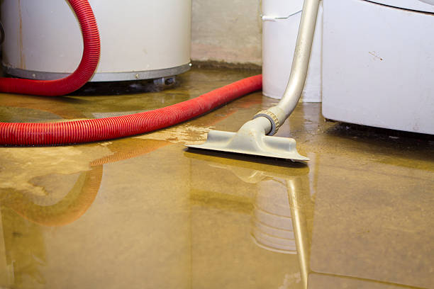 Best Water damage cleanup near me  in Okawvle, IL