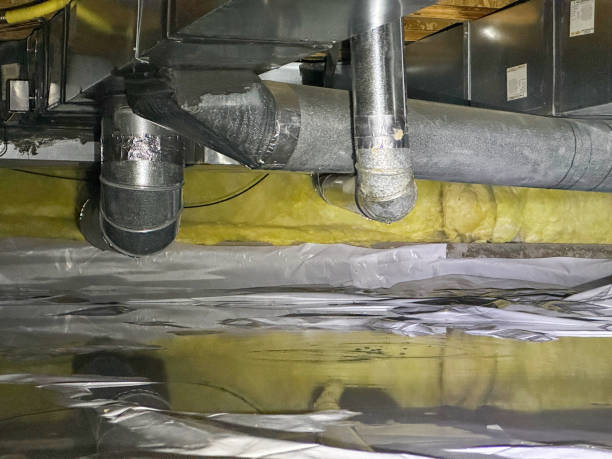 Best Carpet water damage restoration  in Okawvle, IL