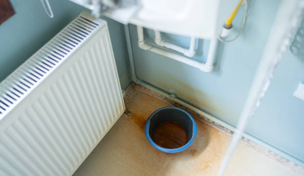 Best Ceiling water damage repair  in Okawvle, IL