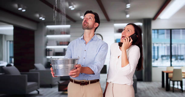 Best Mold removal after water damage  in Okawvle, IL